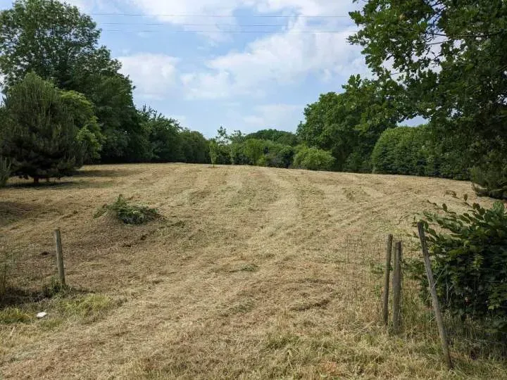 Terrain